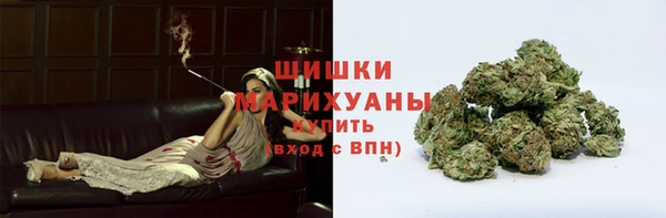 гидра Мегион
