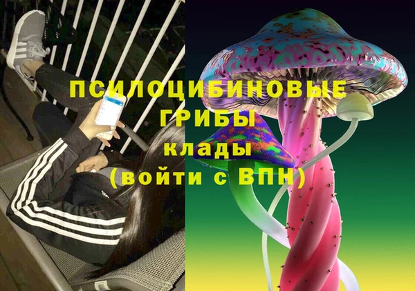 гидра Мегион