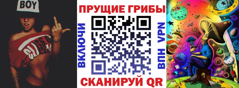 Псилоцибиновые грибы прущие грибы  закладка  Жигулёвск 